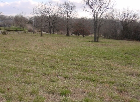 DSC00002.JPG