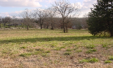 DSC00003.JPG