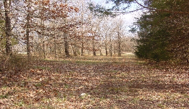 DSC00007.JPG