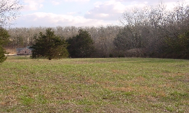 DSC00011.JPG