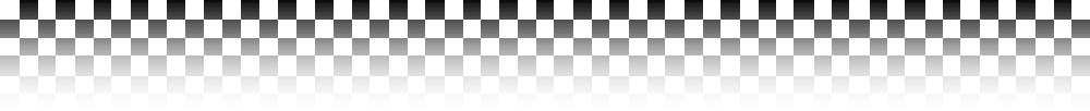 checkered banner1.gif